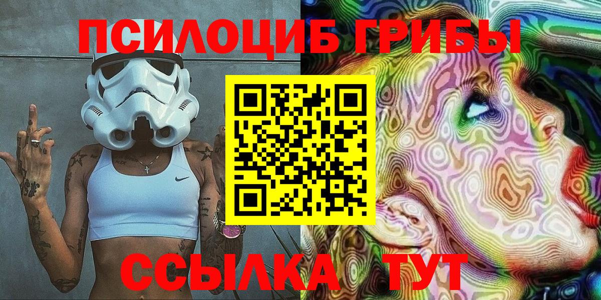 Кохма  Галлюциногенные грибы Psilocybe  Вход с VPN 